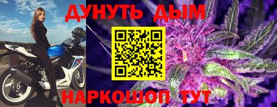 прущие грибы Обнинск