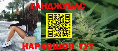 прущие грибы Обнинск
