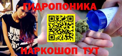 стаф Обь
