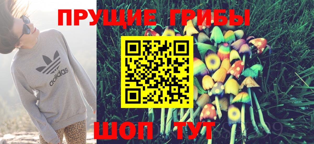 Псилоцибиновые грибы мицелий Ртищево