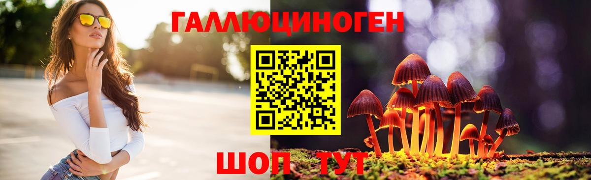 Псилоцибиновые грибы Magic Shrooms  Псилоцибиновые грибы ЛСД  Ртищево  Вход с VPN 